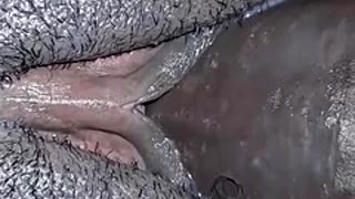 Thick with dripping pussy drooling