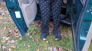 Wild pissing at home