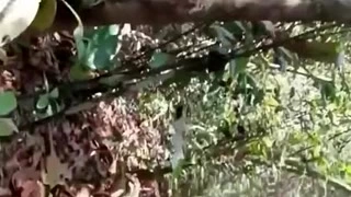 Desi gal on the nature