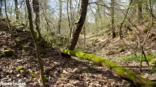 Woman fucking in ass outdoor